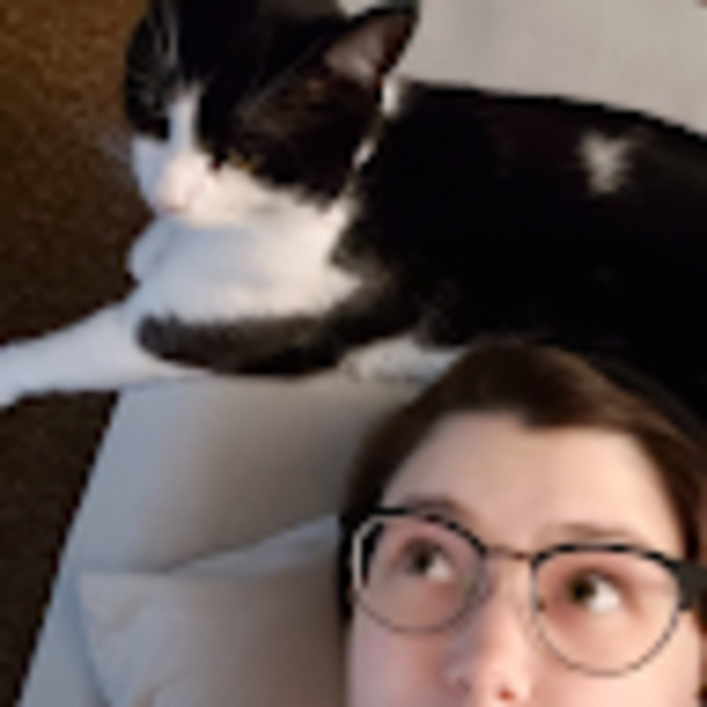 Meet your Posher, Ace